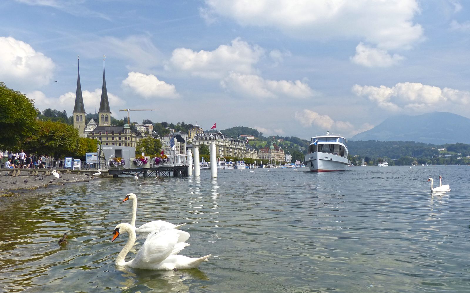 El lago de los cisces Zurich