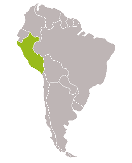 Perú, el imperio Inca en grupo