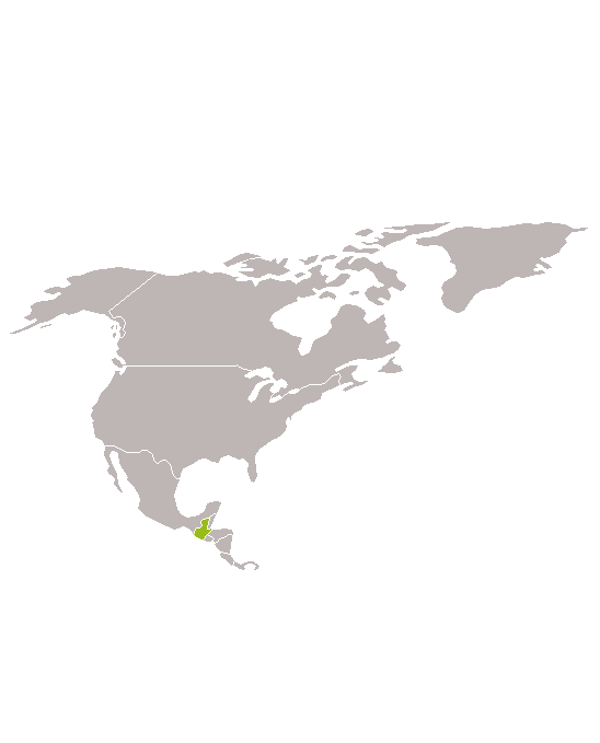 Guatemala (+Honduras +El Salvador) con Marc Espín