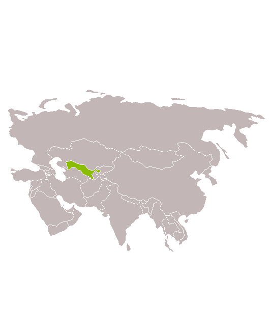 Uzbekistán y Mar d'Aral en grupo